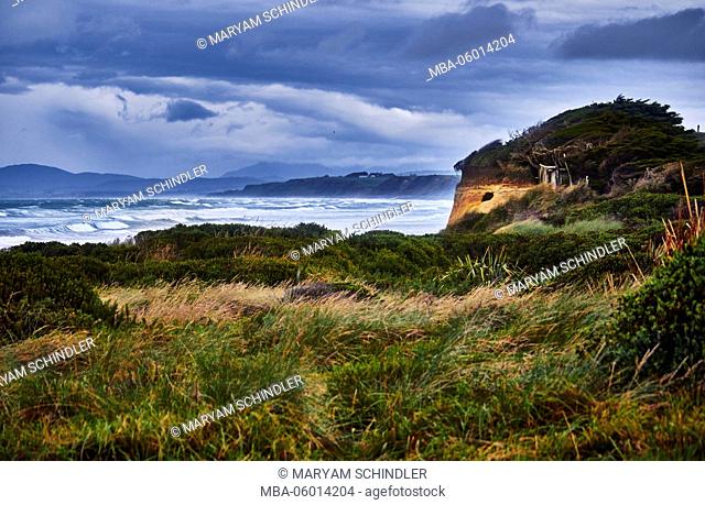 New Zealand, south island, southern scenic route, the catlins, jagged coast, dune grass, sea, dramatic sky