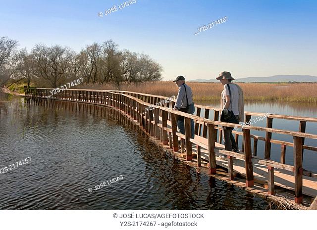 Tablas de Daimiel National Park - wetland and boardwalk, Ciudad Real-province, Region of Castilla - La Mancha, Spain, Europe