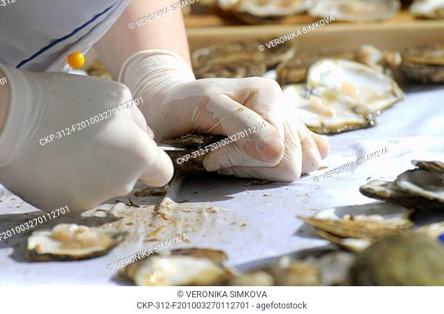 On the Old Town Square took place ninth annual championship of the Czech Republic in the opening oysters, Prague, Czech Republic, March 27