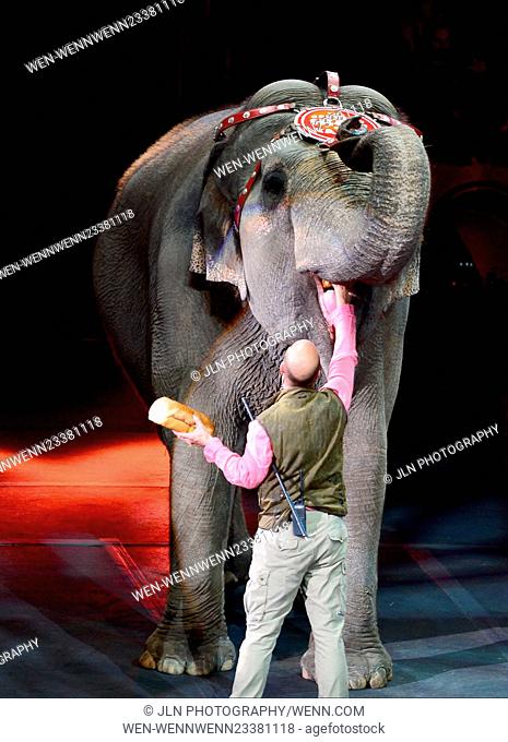 Ringling Bros. and Barnum & Bailey present Circus Xtreme held at American Airlines Arena. Ringling Bros. Barnum & Bailey Circus announced Monday they will...