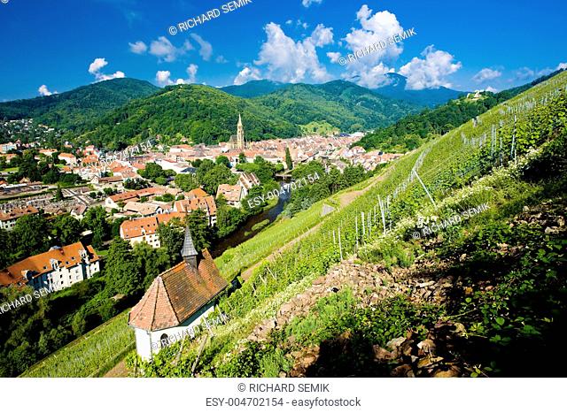 grand cru vineyard and Chapel of St. Urban, Thann, Alsace, France