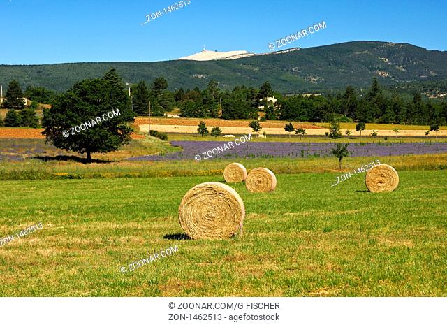Provencalische Landschaft mit Rundballen aus Heu und dem Gipfel Mont Venthoux, Provence, Frankreich / Provencalian landscape with round hay bales and Mont...