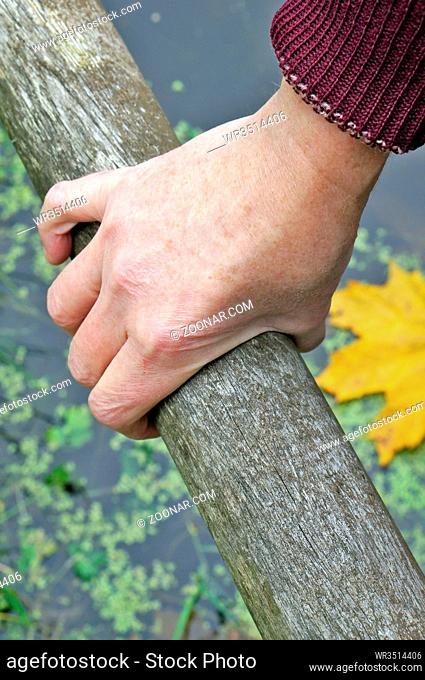 The elderly grandmother his right hand hold on to the railings of the wooden bridge across the village pond. Maple leaf and water as background
