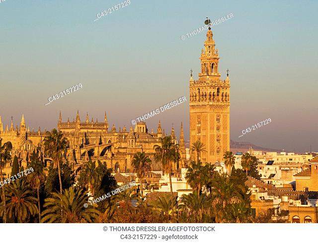 The Moorish Giralda (1184-96) next to the Gothic Cathedral (1402-1506). Seville, Seville province, Andalusia, Spain