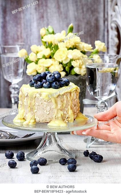 White and dark chocolate layer cake decorated with blueberries. Party dessert