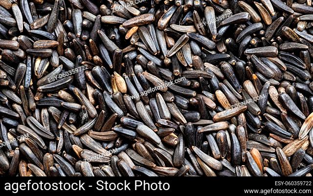 panoramic food background - ripe whole-grain niger seeds (Guizotia Abyssinica) close up