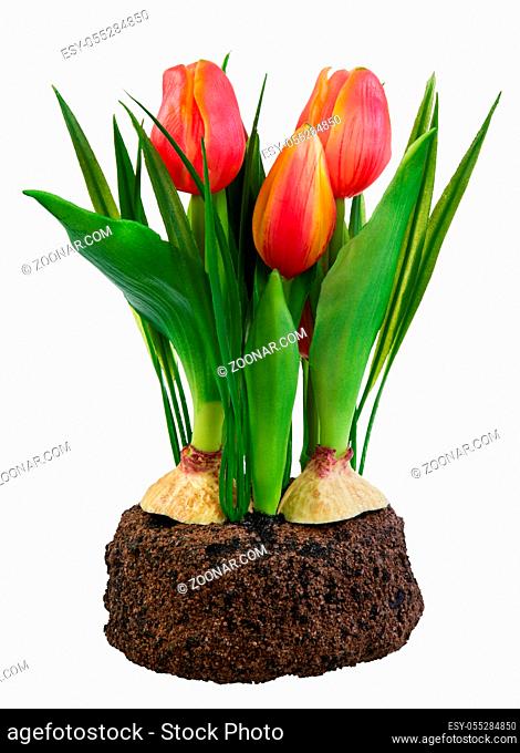 Spring deco with artificial orange tulips isolated on white