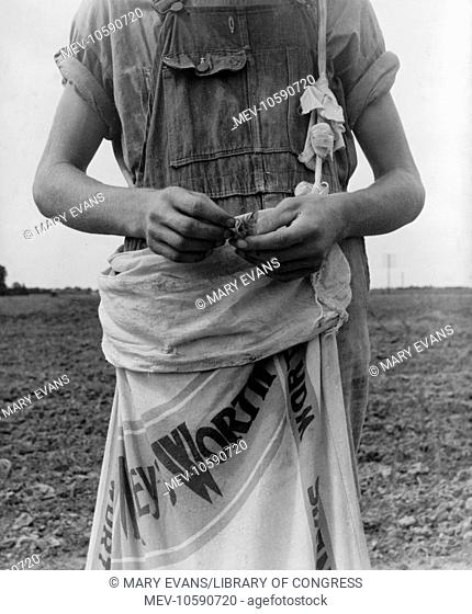 Farm boy with sack full of boll weevils which he has picked off of cotton plants. Macon County, Georgia. Date 1937 July