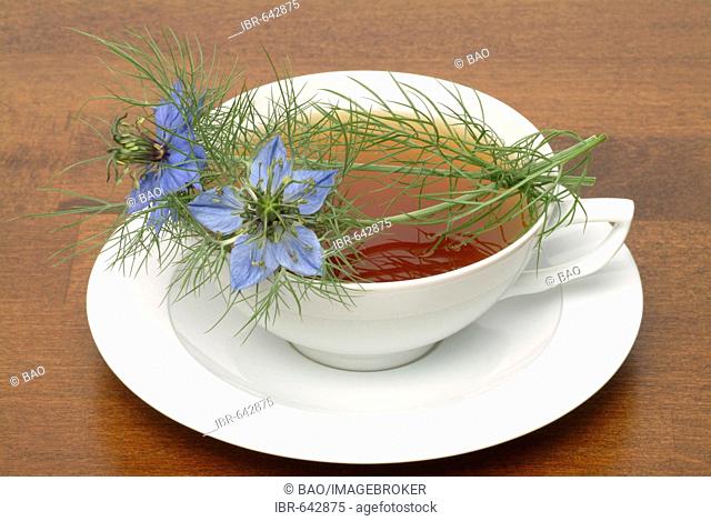 Fennel Flower or Black Caraway (Nigella sativa) herbal tea, medicinal tea