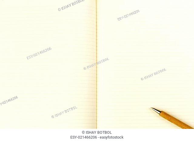 Wooden ballpoint pen on open notebook
