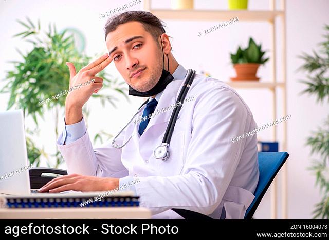 Young male doctor working in clinic