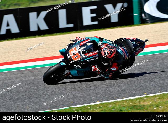 Mugello - Italy, 1 June: French Petronas Yamaha Srt Team rider Fabio Quartararo in action at 2019 GP of Italy of MotoGP on June 2019 in Italy