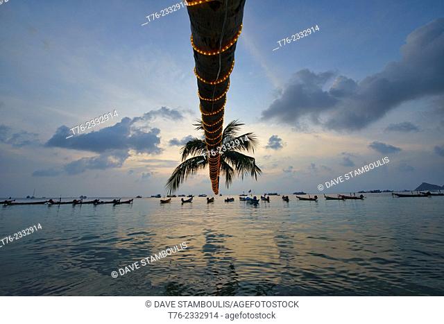 leaning coconut tree on Sairee Beach at sunset, Koh Tao, Thailand