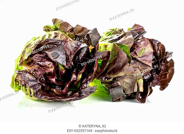 Group of two whole fresh green lettuce red little gem variety front view isolated on white
