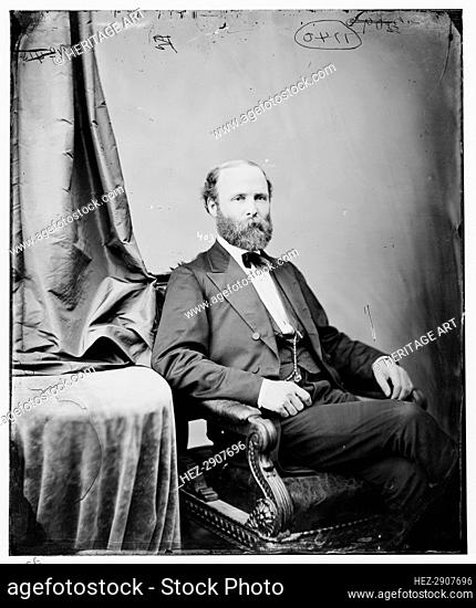Thompson Ware McNeely of Illinois, between 1860 and 1875. Creator: Unknown
