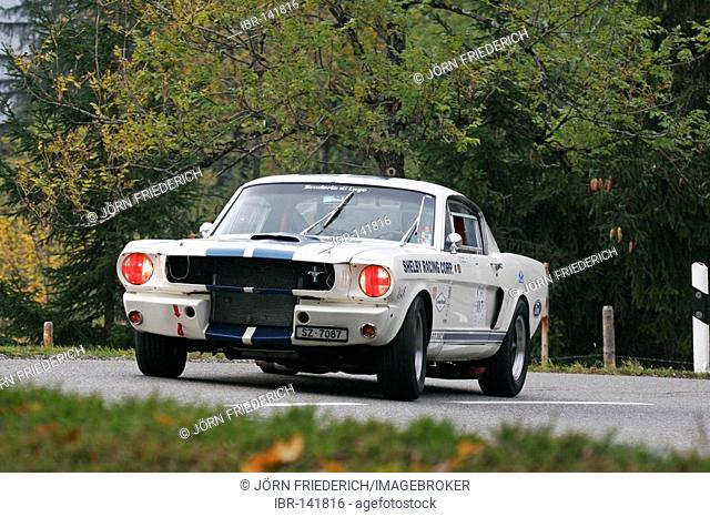 Ford Mustang Shelby GT 350 R, built 1965