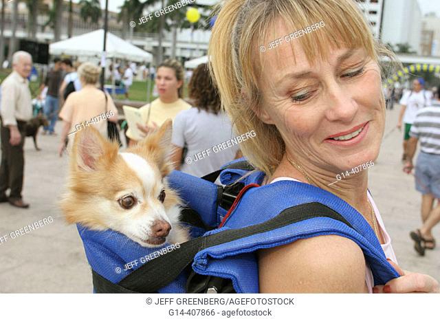 Dog, White female, carrier. Walk for the Animals, Humane Society event, Bayfront Park, Miami, Florida. USA
