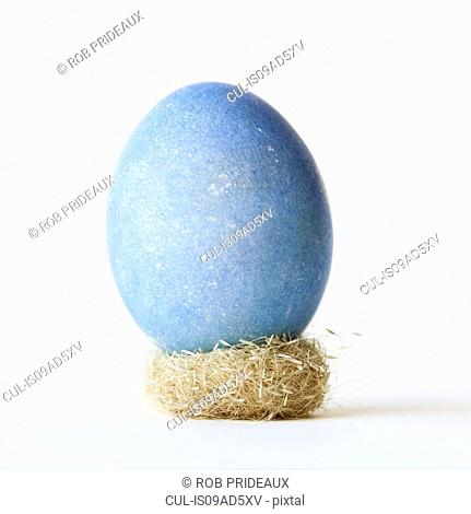 Still life with large blue egg balanced on small nest