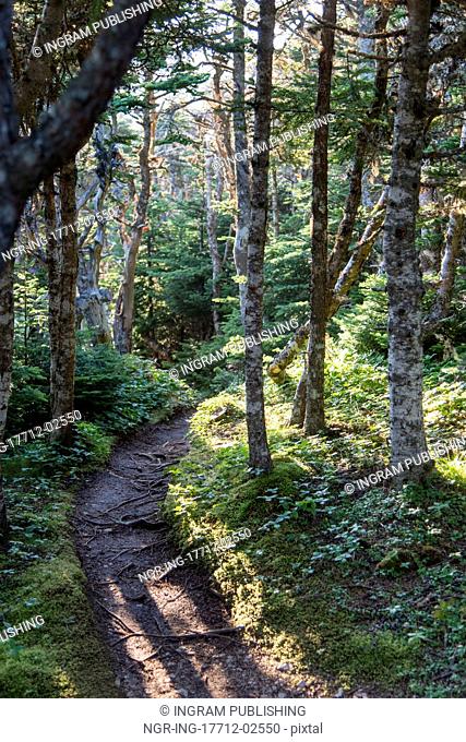 Skerwink Trail, Bonavista Peninsula, Newfoundland And Labrador, Canada