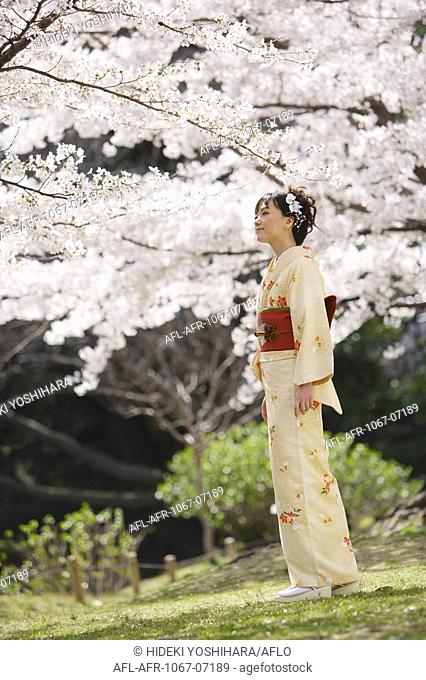 Woman Looking At Cherry Blossom Flowers