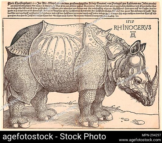 Author: Albrecht Drer. The Rhinoceros - 1515 - Albrecht Drer German, 1471-1528. Woodcut in black on ivory laid paper. Germany