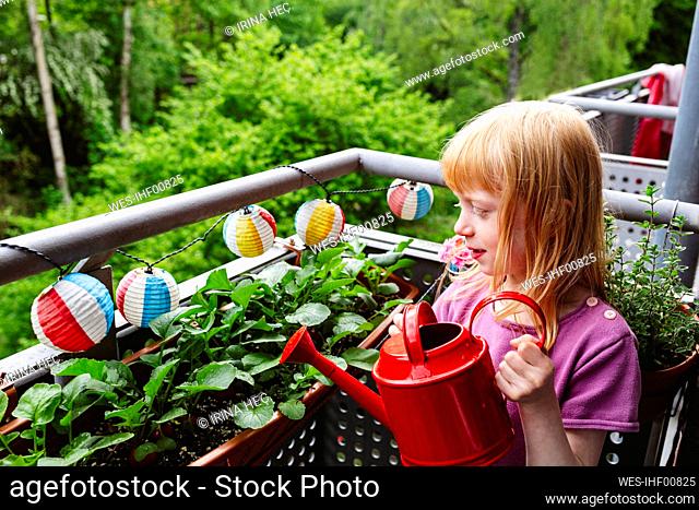 Girl standing with red watering can looking at radish plants on balcony