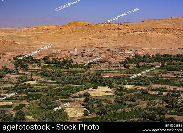 Oasis Tinerhir with old mud houses and newly constructed buildings, Tinerhir, Souss-Massa-Draa, High Atlas, Morocco, Africa