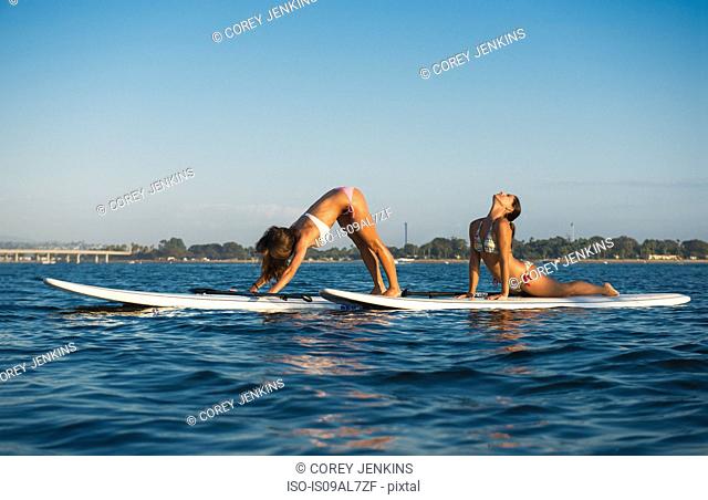 Two women practicing yoga positions on paddleboards, Mission Bay, San Diego, California, USA