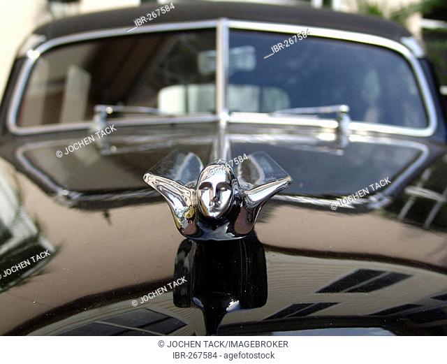 54er Cadillac, hood ornament, Florida, USA