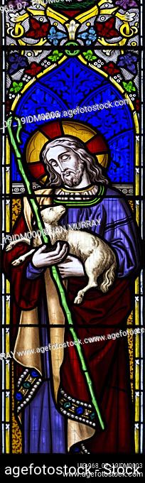 Church of Saint Edmund, Bromeswell, Suffolk, England, UK stained glass window Jesus Christ as the Good Shepherd
