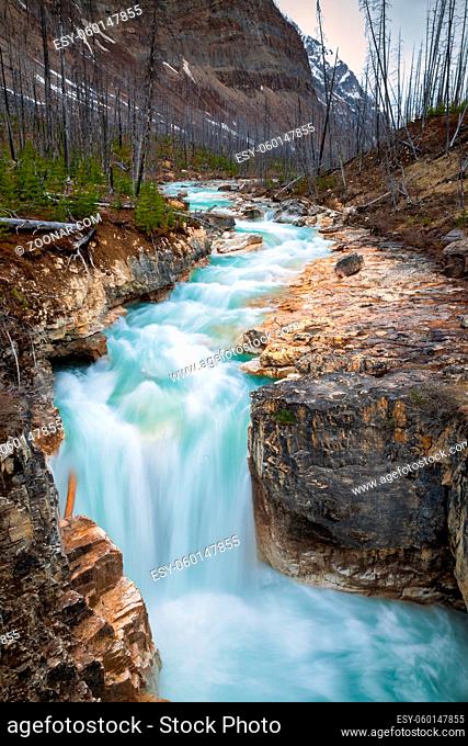 Marble Canyon in Kootenay National Park, British Columbia, Canada
