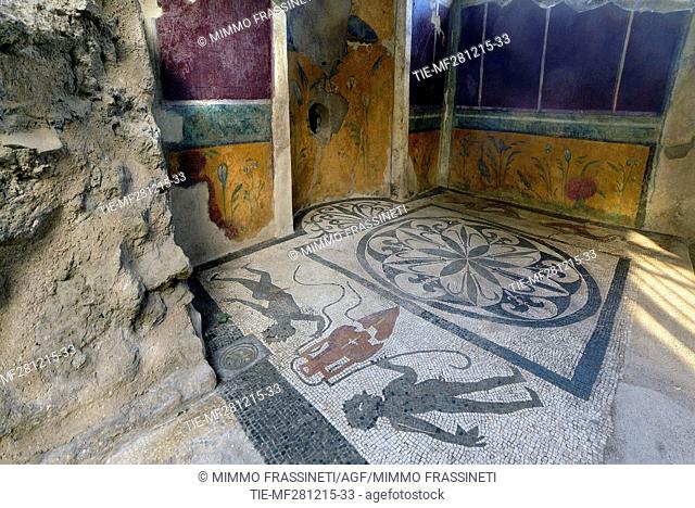 Official opening of some Domus after the restoration, the Domus of Cryptoporticus, Pompei, mosaic, ITALY- 26-12-2015