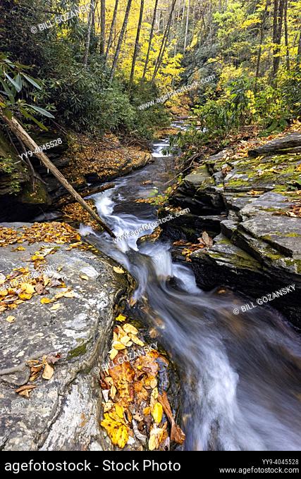 Cascade on Catheys Creek in autumn - Pisgah National Forest, near Brevard, North Carolina, USA