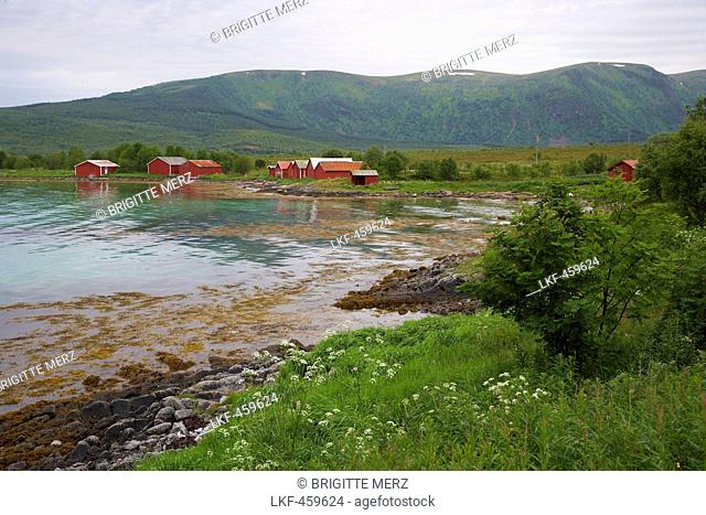 East coast of the isle of Hadseloy, Vesteralen, Province of Nordland, Nordland, Norway, Europe