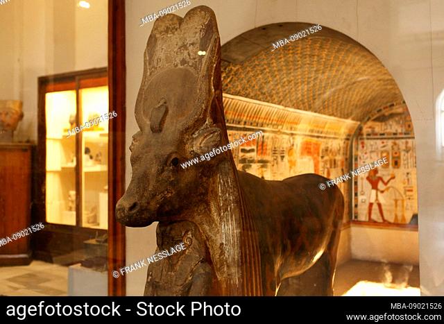Cairo, Giza, Egypt, Cairo, Giza, Egypt, Cairo Egyptian Museum, Egyptian Museum in Cairo
