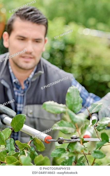 Gardener at work
