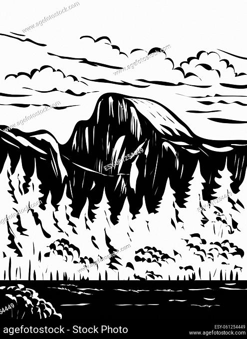 WPA poster monochrome art of Half Dome at the eastern end of Yosemite Valley in Yosemite National Park, USA done in works project administration black and white...