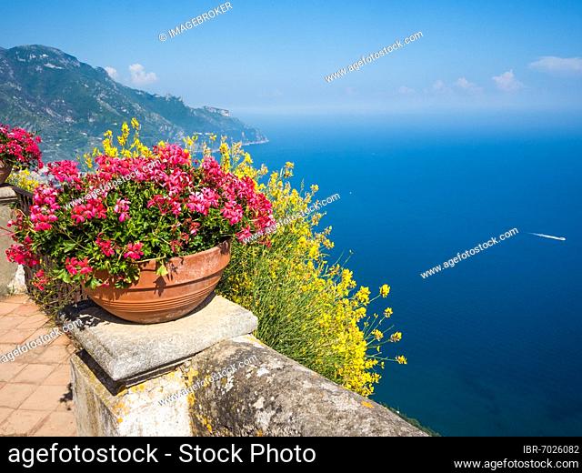 View from the Terrazza dell'Infinito of Villa Cimbrone on the Gulf of Salerno, Ravello, Amalfi Coast, Costiera Amalfitana, Province of Salerno, Campania, Italy
