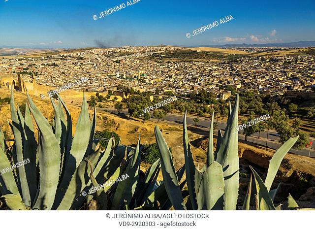 Landscape, panoramic view, Souk Medina of Fez, Fes el Bali. Morocco, Maghreb North Africa