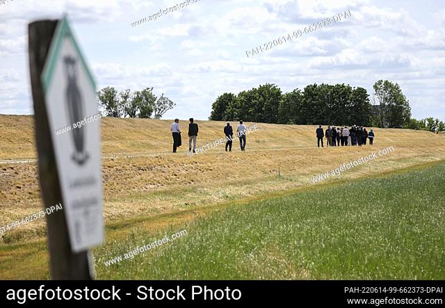 14 June 2022, Saxony-Anhalt, Wittenberg: A group of people walk on an Elbe dike near Bösewig. The Heinz Sielmann Foundation is planning to open the dike here in...