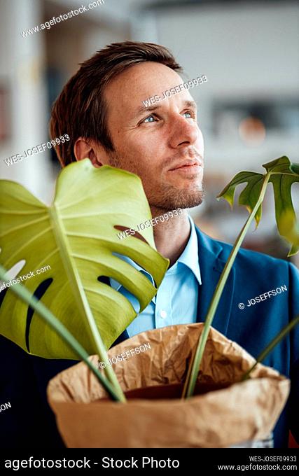 Thoughtful mature businessman with Monstera plant at cafe