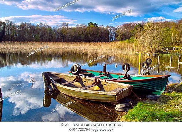 Rowing boats moored at Tudenham, Lough Ennell, County Westmeath, Ireland