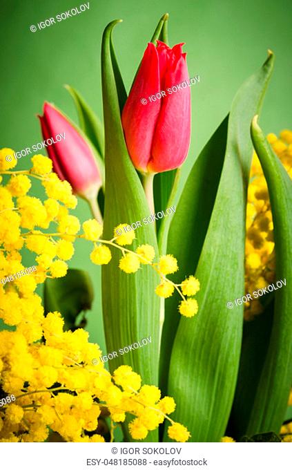 Spring bouquet with mimosa and tulips