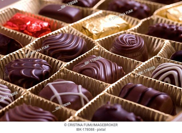 Praline, chocolate candies in a golden box