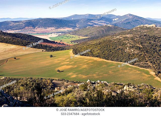 Sierra Luenga. Montes de Toledo. Urda. Toledo. Castilla la Mancha. Spain. Europe