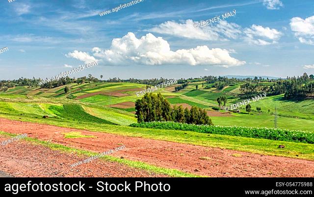 Beautiful mountain landscape with traditional ethiopian terrace fields Oromia Region near city Hawassa. Ethiopia, Africa