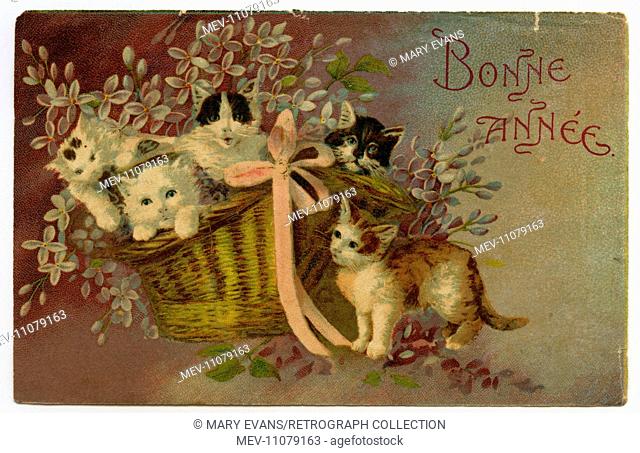 Cats in a basket on a French New Year card