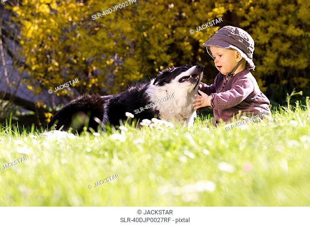 Baby girl playing with dog in grass