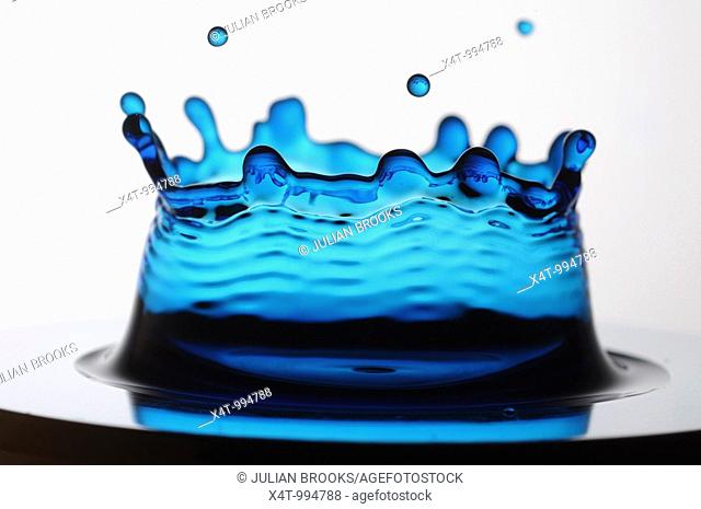A single drop of blue liquid forming a coronet as it lands