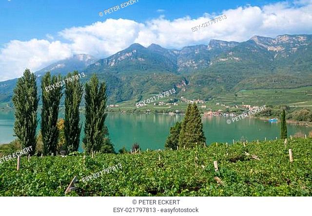 Blick auf den Kalterer See an der Südtiroler Weinstrasse